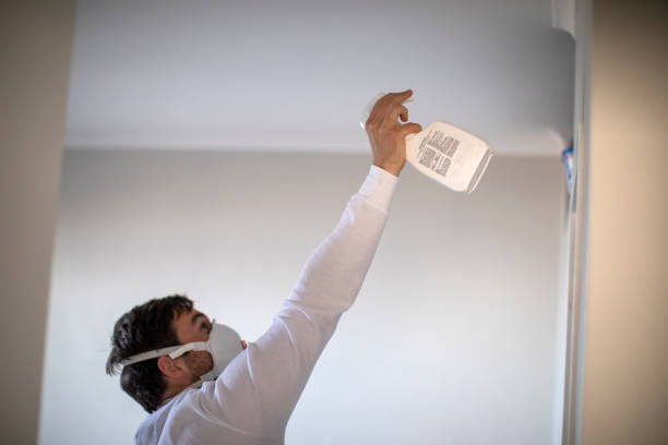 Best Residential Mold Remediation in Four Corners, TX