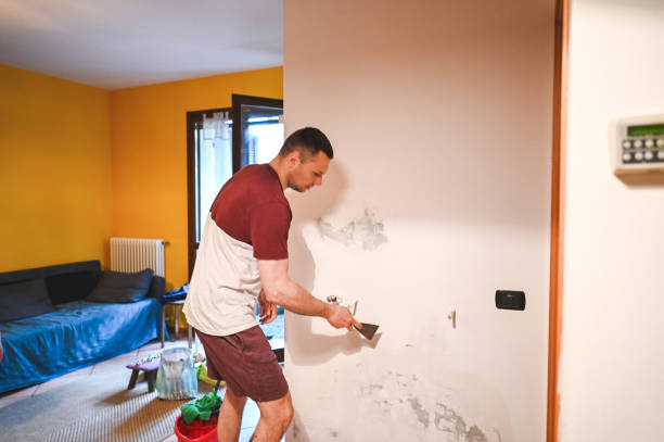 Best Kitchen Mold Remediation in Four Corners, TX