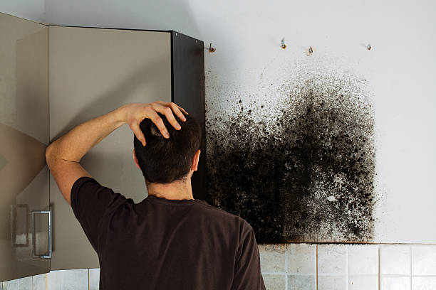 Best Residential Mold Remediation in Four Corners, TX